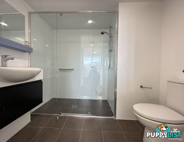 ID:21156914 5 Alexandra Street Paddington QLD 4064