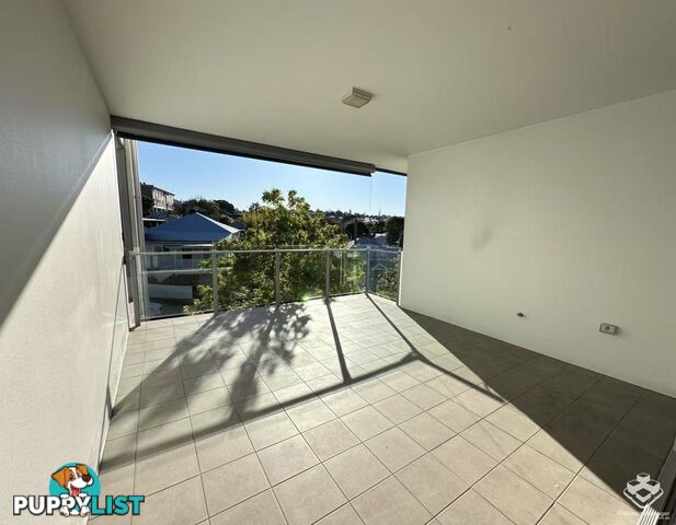 ID:21156914 5 Alexandra Street Paddington QLD 4064