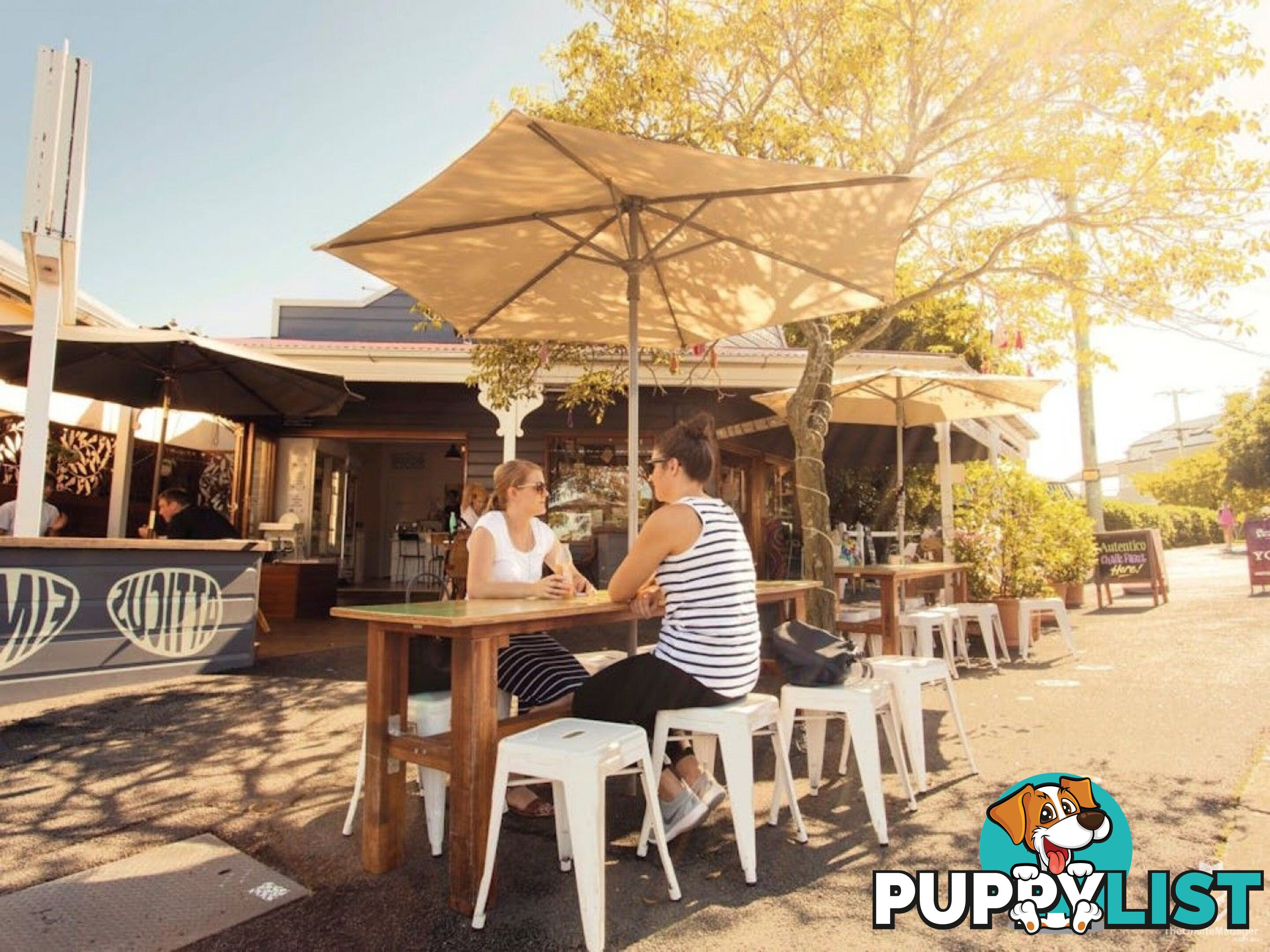 ID:21156914 5 Alexandra Street Paddington QLD 4064