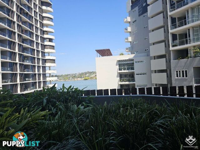 ID:21074593 37B Harbour Road Hamilton QLD 4007