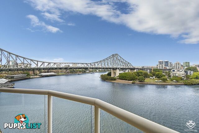 ID:3902770 32 Macrossan Street Brisbane City QLD 4000