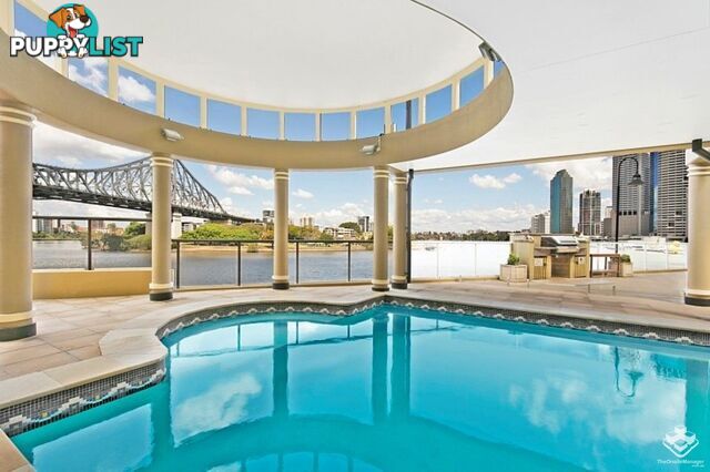 ID:3902770 32 Macrossan Street Brisbane City QLD 4000