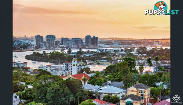 ID:21153828 37 Mayne Street Bowen Hills QLD 4006