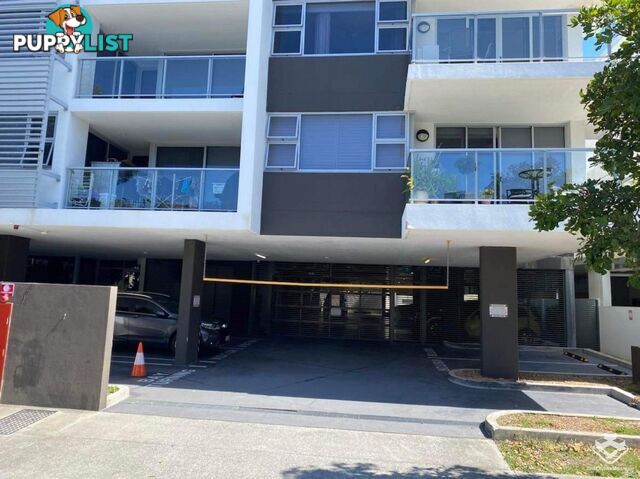 ID:21139383/8 Norman Street Southport QLD 4215