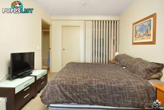 ID:21156617 20 Malt Street Fortitude Valley QLD 4006