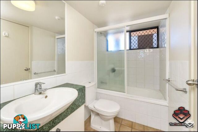 ID:21156617 20 Malt Street Fortitude Valley QLD 4006