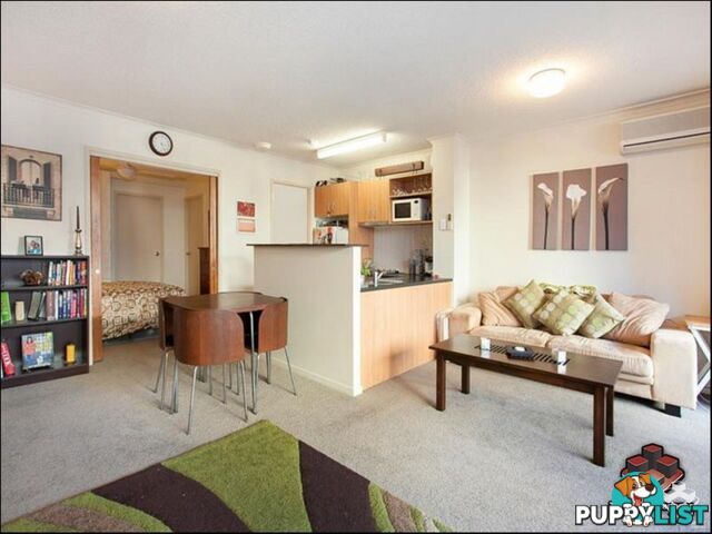 ID:21156617 20 Malt Street Fortitude Valley QLD 4006