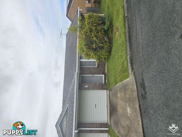 ID:21153048 73-87 Caboolture River Road Morayfield QLD 4506