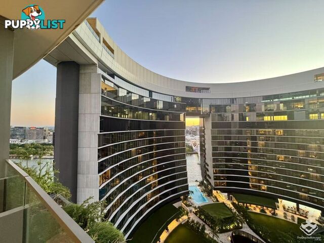 ID:21157260 8 Margaret Street Brisbane City QLD 4000
