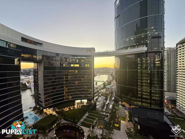 ID:21157260 8 Margaret Street Brisbane City QLD 4000