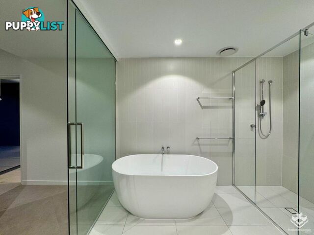 ID:21157260 8 Margaret Street Brisbane City QLD 4000