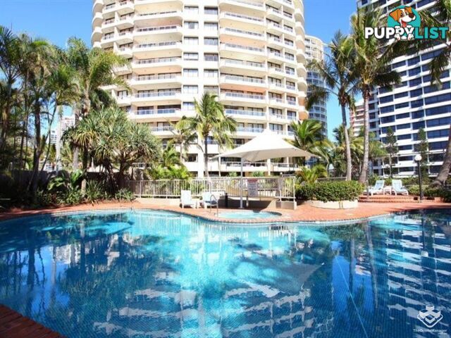 66/3 Cunningham Avenue Main Beach QLD 4217