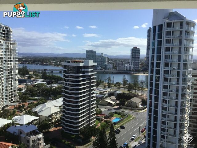 66/3 Cunningham Avenue Main Beach QLD 4217