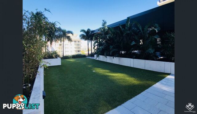 ID:21158055 22 Railway Terrace Milton QLD 4064