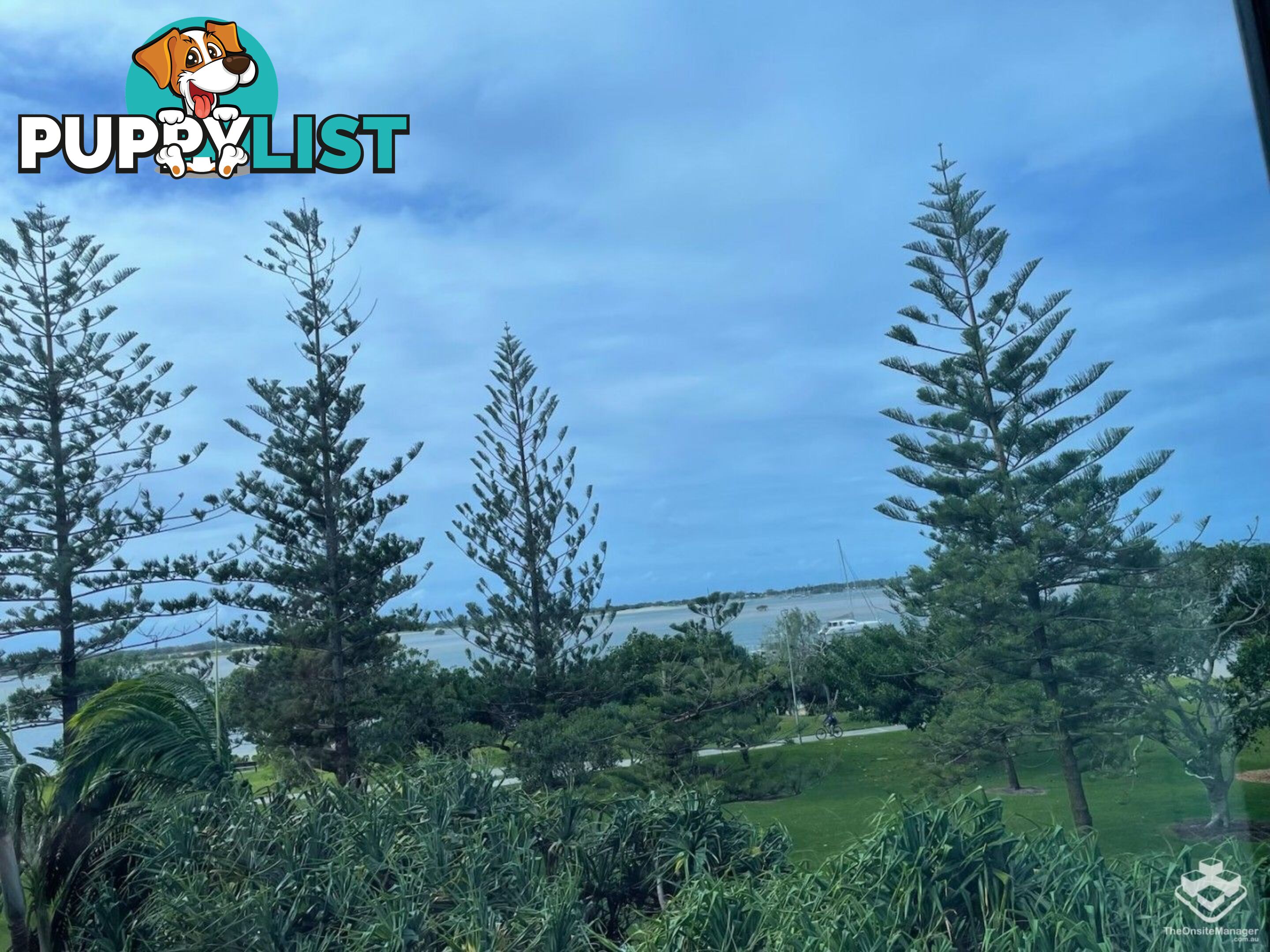 ID:21152117 230 Marine Parade Labrador QLD 4215