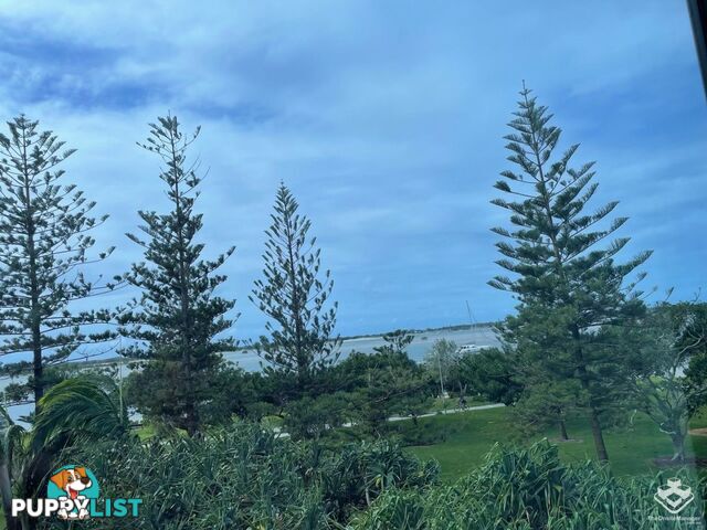 ID:21152117 230 Marine Parade Labrador QLD 4215
