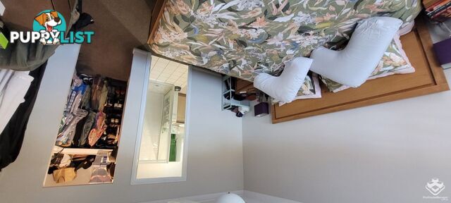 12 Peter Close Bracken Ridge QLD 4017