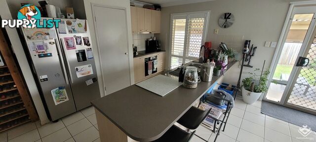 12 Peter Close Bracken Ridge QLD 4017