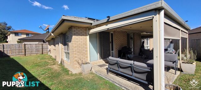 12 Peter Close Bracken Ridge QLD 4017