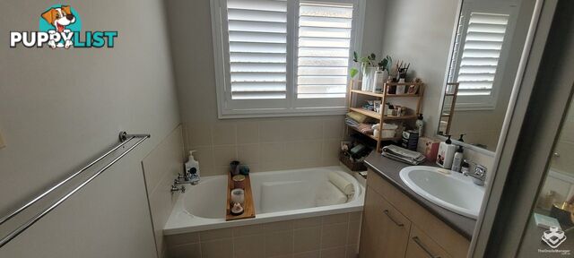 12 Peter Close Bracken Ridge QLD 4017