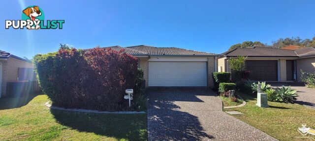 12 Peter Close Bracken Ridge QLD 4017