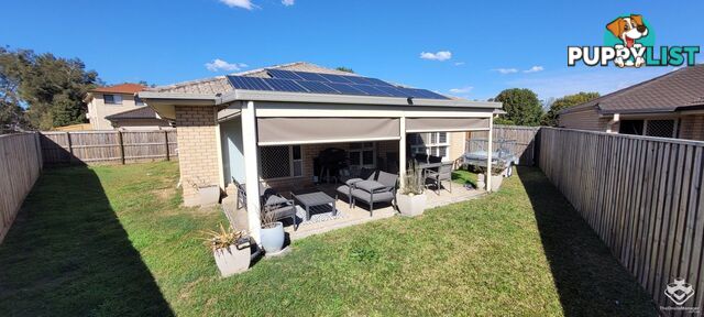 12 Peter Close Bracken Ridge QLD 4017