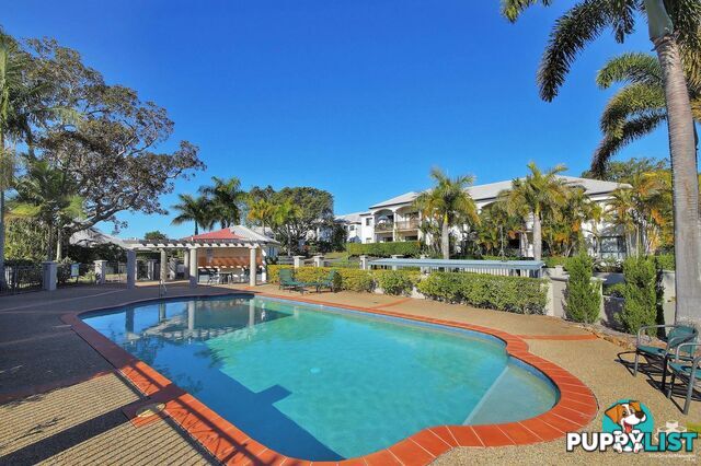 111/85 Palm Meadows Drive Carrara QLD 4211