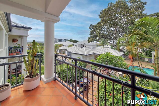 111/85 Palm Meadows Drive Carrara QLD 4211