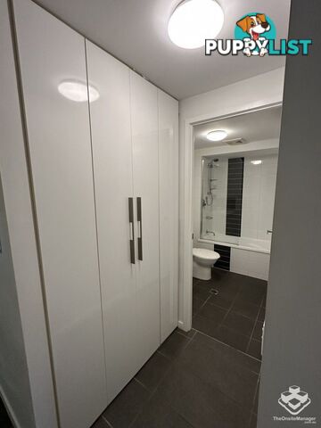 205/4 Paddington Terrace Douglas QLD 4814