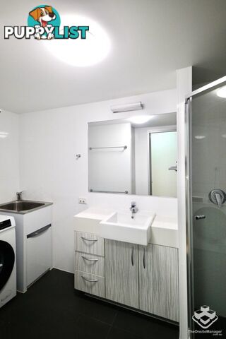 ID:21155241 58 Durham Street St Lucia QLD 4067