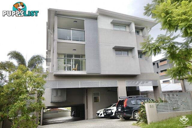 ID:21155241 58 Durham Street St Lucia QLD 4067