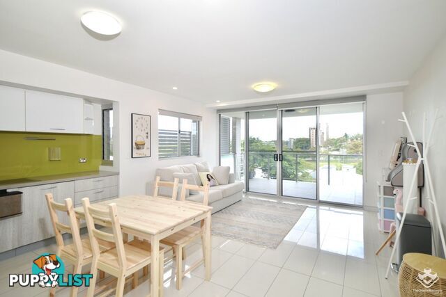 ID:21155241 58 Durham Street St Lucia QLD 4067