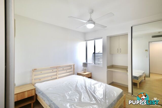 ID:21155241 58 Durham Street St Lucia QLD 4067