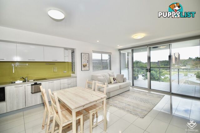 ID:21155241 58 Durham Street St Lucia QLD 4067