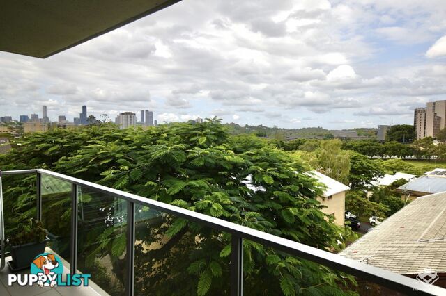 ID:21155241 58 Durham Street St Lucia QLD 4067