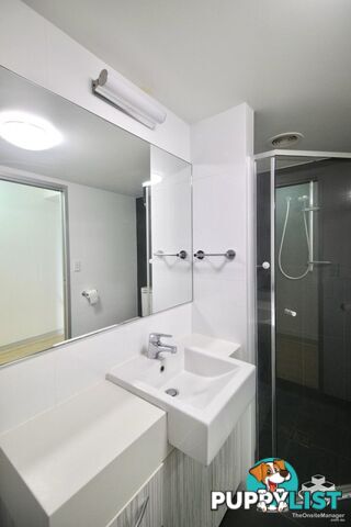 ID:21155241 58 Durham Street St Lucia QLD 4067
