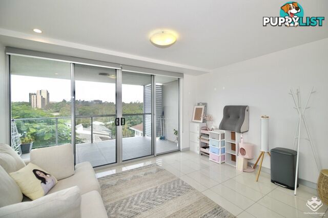 ID:21155241 58 Durham Street St Lucia QLD 4067