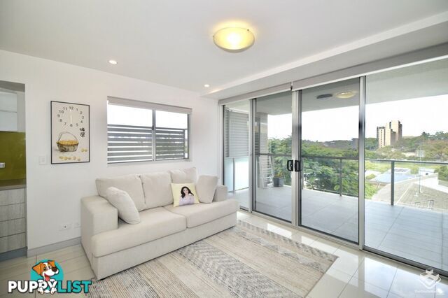 ID:21155241 58 Durham Street St Lucia QLD 4067