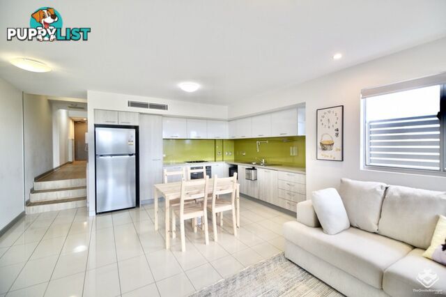 ID:21155241 58 Durham Street St Lucia QLD 4067