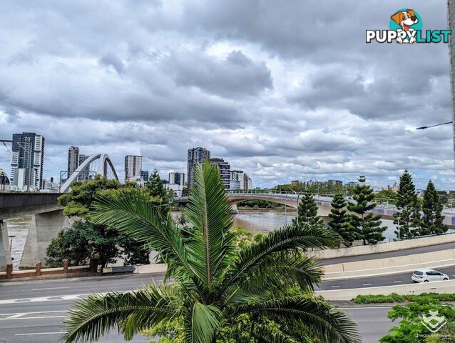 2/ 6 Exford Street Brisbane City QLD 4000