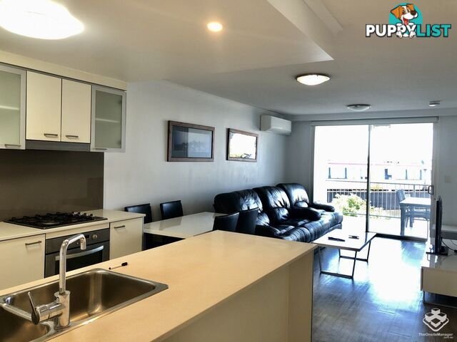 2/ 6 Exford Street Brisbane City QLD 4000