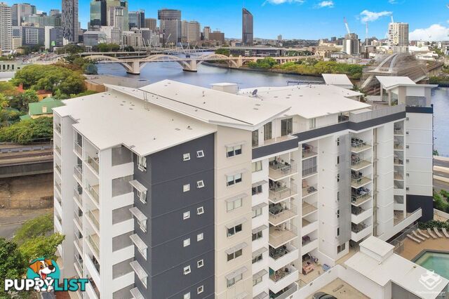 2/ 6 Exford Street Brisbane City QLD 4000
