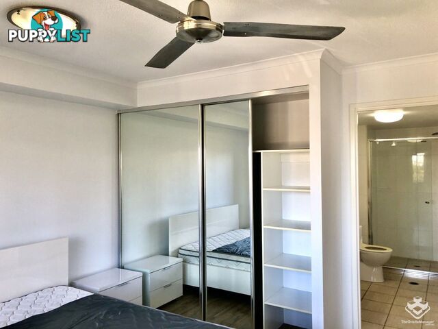 2/ 6 Exford Street Brisbane City QLD 4000