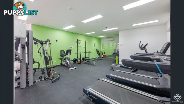 2/ 6 Exford Street Brisbane City QLD 4000