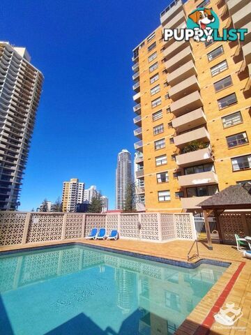 ID:21154159 3049 Surfers Paradise Boulevard Surfers Paradise QLD 4217