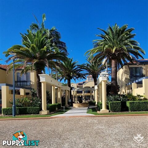ID:21154285 206 Cheltenham Drive Robina QLD 4226