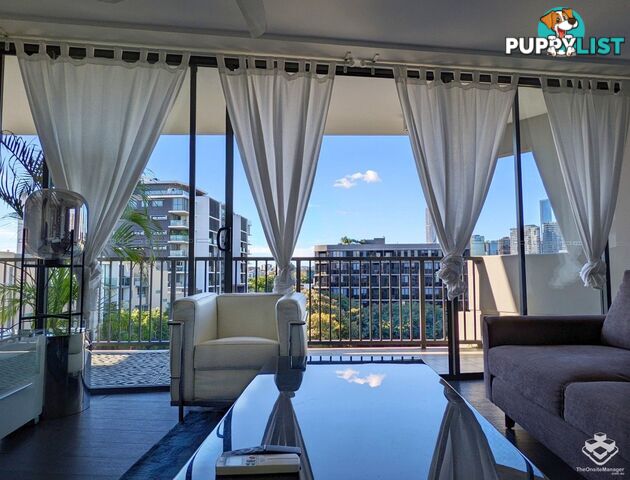 ID:21142868/8 Musgrave Street West End QLD 4101