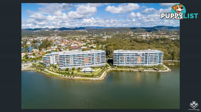 ID:21145378/397 Christine Avenue Varsity Lakes QLD 4227