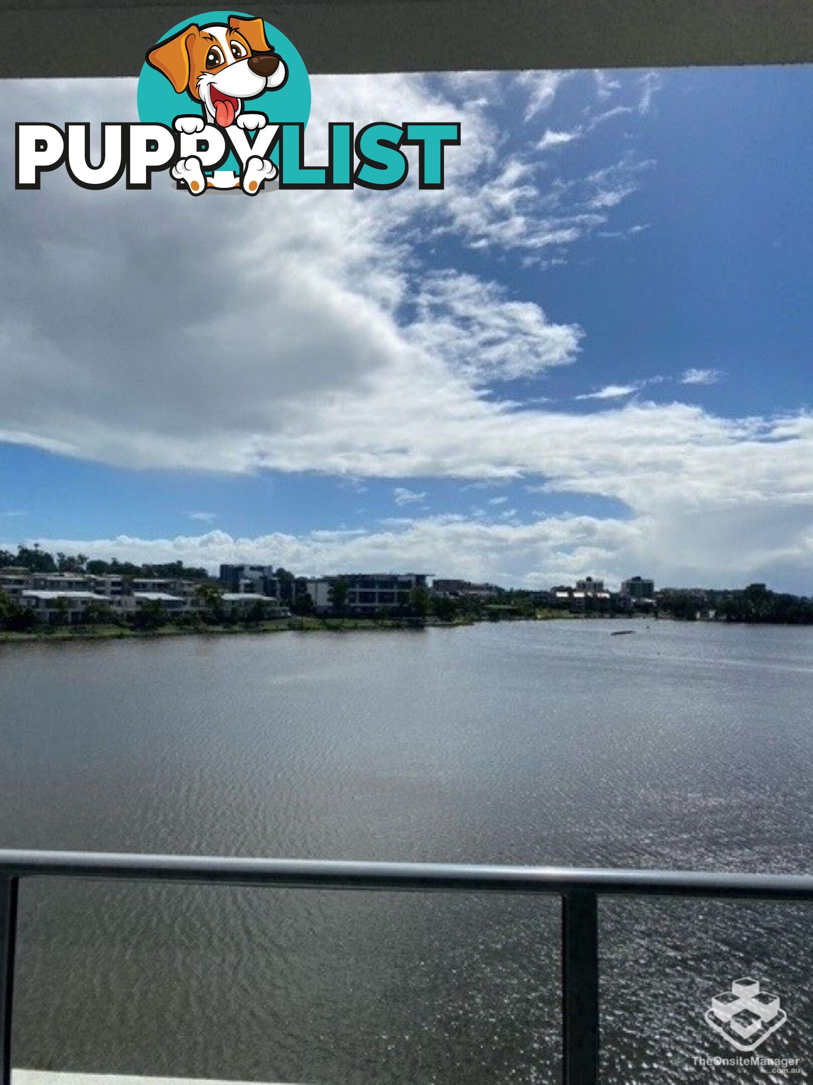 ID:21145378/397 Christine Avenue Varsity Lakes QLD 4227