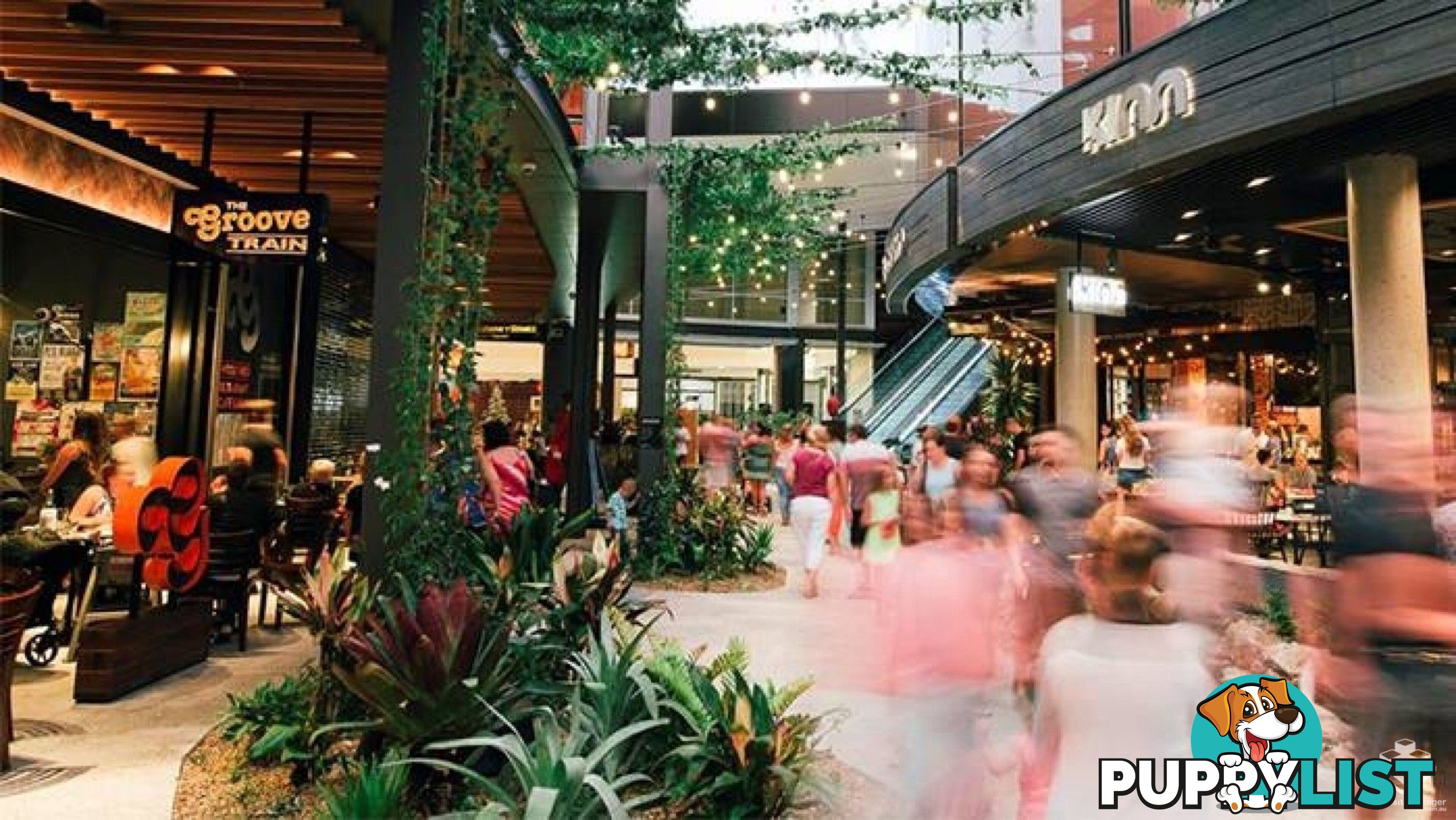 ID:3895162 25 The Corso North Lakes QLD 4509